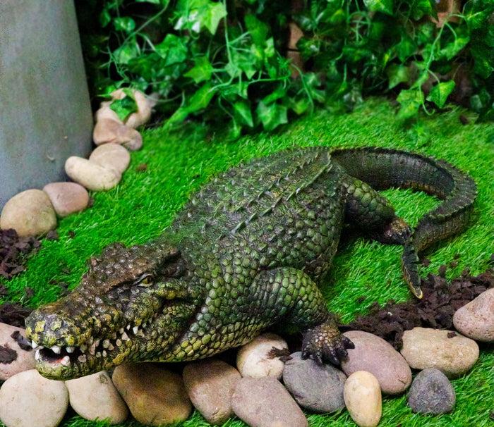 ebros gift Ebros 21" Long Realistic Alligator Crocodile Statue Home and Garden Figurine