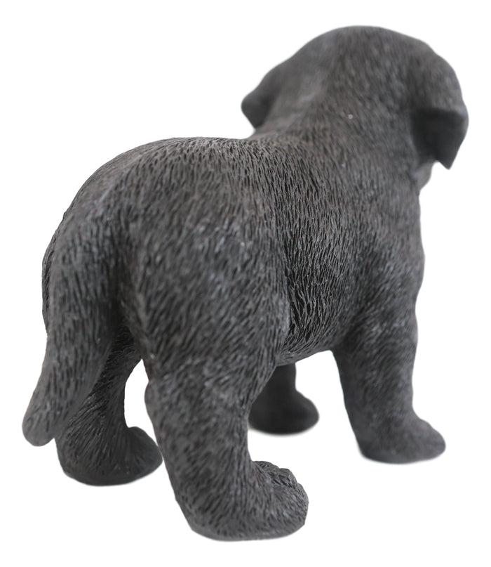 Ebros Gift Ebros 6.25"L Realistic Chocolate Labrador Puppy Resin Figurine