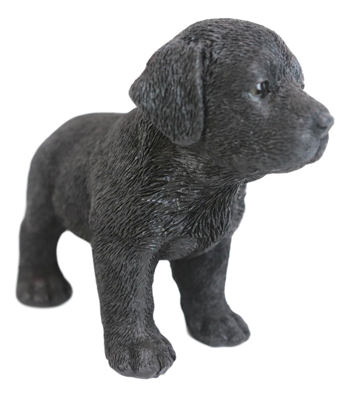 Ebros Gift Ebros 6.25"L Realistic Chocolate Labrador Puppy Resin Figurine