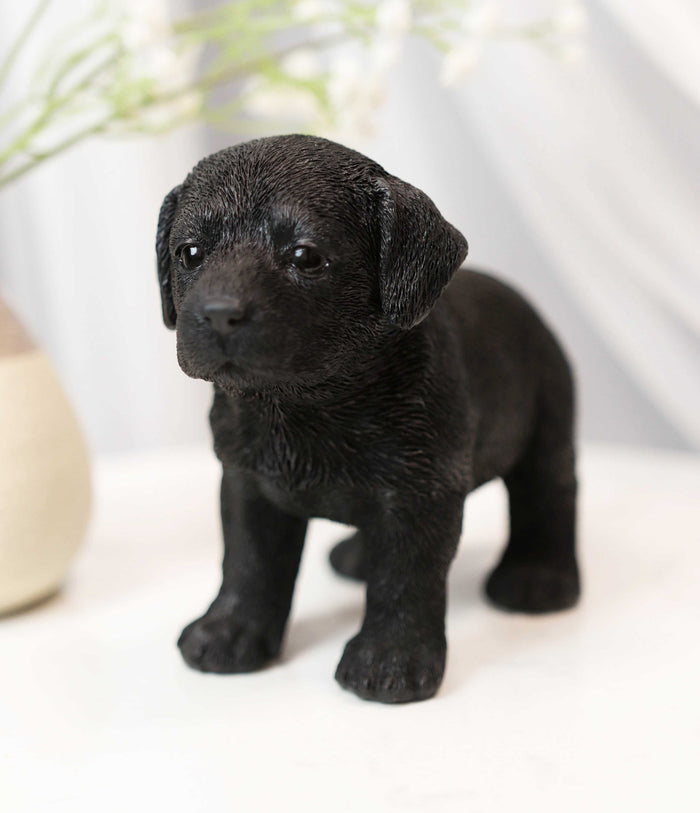 ebros gift Ebros 6.25"L Realistic Chocolate Labrador Puppy Resin Figurine