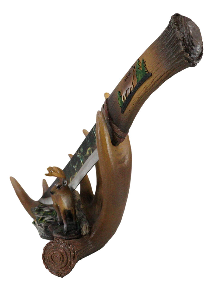 Ebros Gift Ebros 6 Point Whitetail Buck Antlers Deer Stainless Steel Display Letter Opener