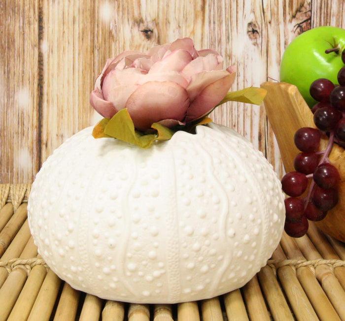 ebros gift Ebros 7.5" Diameter White Sea Urchin Shell Ceramic Sculpture Pot Figurine (1)