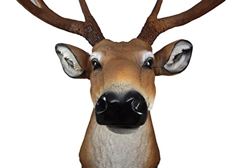 Ebros Gift Ebros 8 Point Buck Deer Bust Champion Wall Mount Sculpture Plaque Figurine 21"H