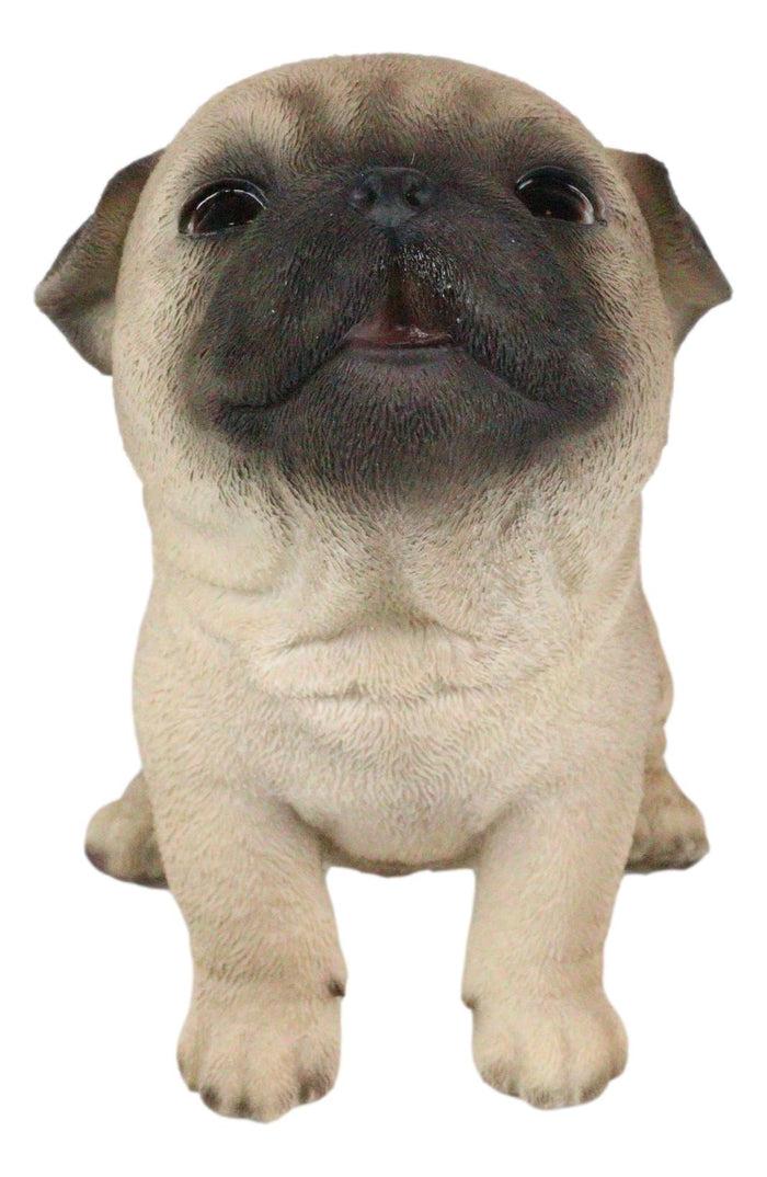 Ebros Gift Ebros Adorable Begging Face Fawn Pug Puppy Dog Figurine Pet Pal Pugsy