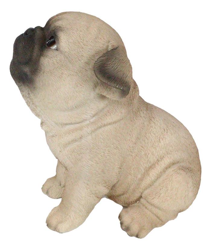 Ebros Gift Ebros Adorable Begging Face Fawn Pug Puppy Dog Figurine Pet Pal Pugsy