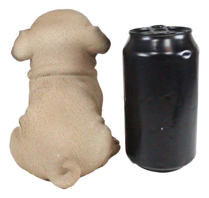 Ebros Gift Ebros Adorable Begging Face Fawn Pug Puppy Dog Figurine Pet Pal Pugsy