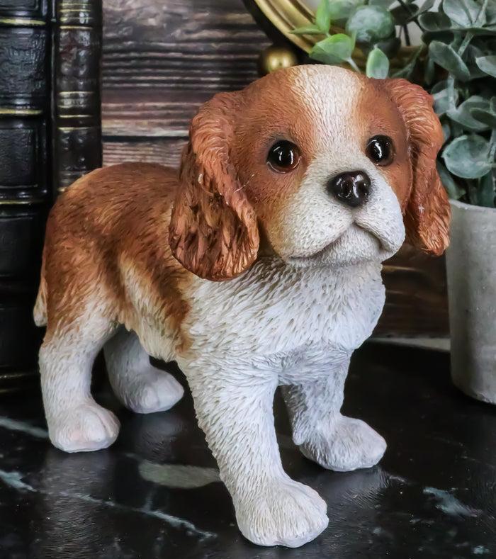 ebros gift Ebros Adorable Cavalier King Charles Spaniel Puppy Dog Breed Statue 6.25" Long