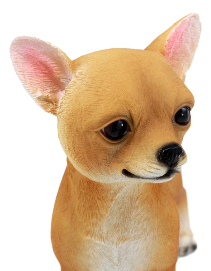 Ebros Gift Ebros Adorable Chiquito Chihuahua Dog Statue 7.75"L Lifelike Short Hair Chihuahua