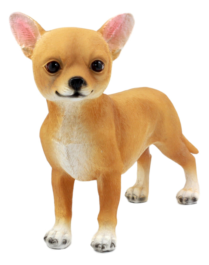 ebros gift Ebros Adorable Chiquito Chihuahua Dog Statue 7.75"L Lifelike Short Hair Chihuahua