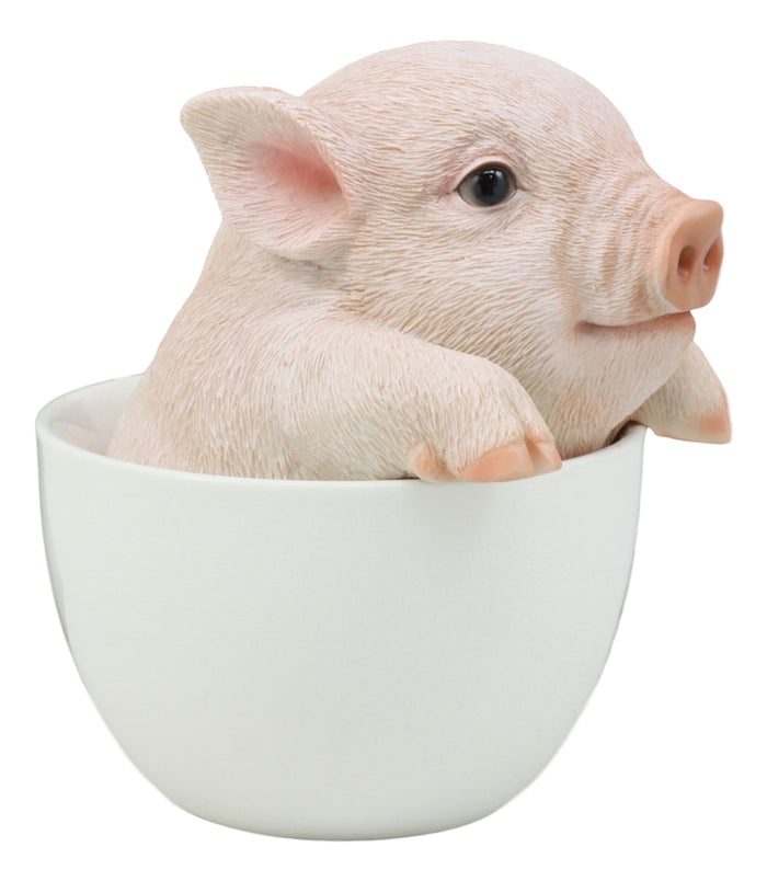 Ebros Gift Ebros Adorable Teacup Pig 5.25"H Realistic Animal Collectible Statue With Glass Eyes