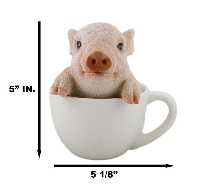 Ebros Gift Ebros Adorable Teacup Pig 5.25"H Realistic Animal Collectible Statue With Glass Eyes