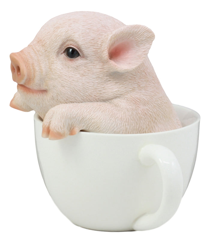 Ebros Gift Ebros Adorable Teacup Pig 5.25"H Realistic Animal Collectible Statue With Glass Eyes