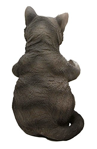 Ebros Gift Ebros American Shorthair Grey Kitty Cat Spice Salt Pepper Shakers Holder Figurine