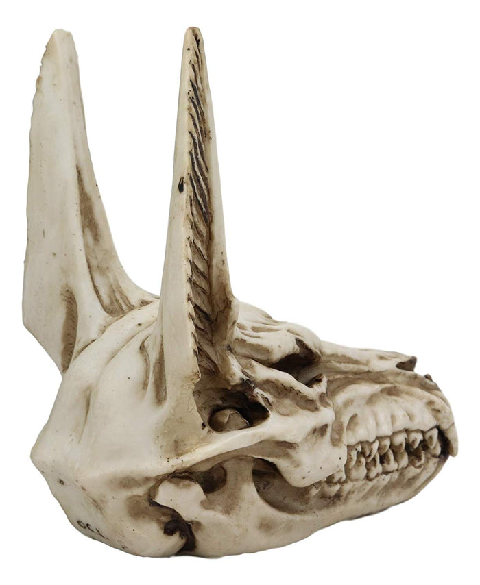 Ebros Gift Ebros Ancient Egyptian Deity God Anubis Jackal Skull Statue Decor 6.75"H