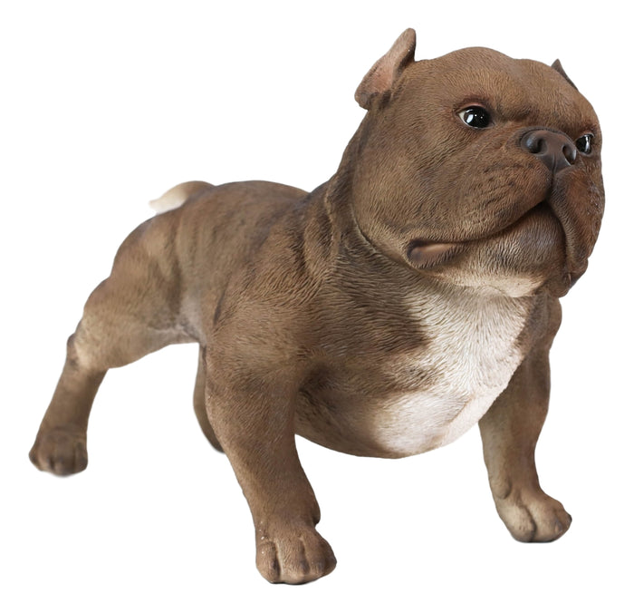 Ebros Gift Ebros Animal World Realistic American Bully Dog Home Decor Resin Figurine 18"L
