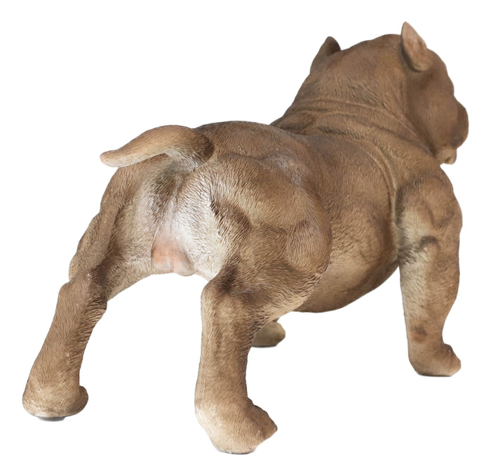 Ebros Gift Ebros Animal World Realistic American Bully Dog Home Decor Resin Figurine 18"L