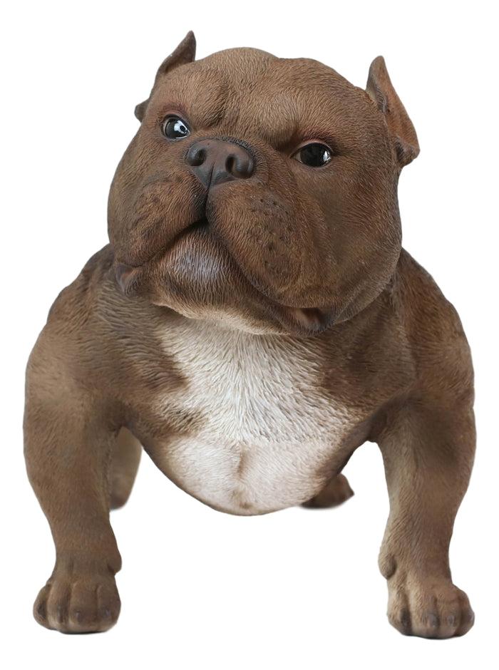 Ebros Gift Ebros Animal World Realistic American Bully Dog Home Decor Resin Figurine 18"L