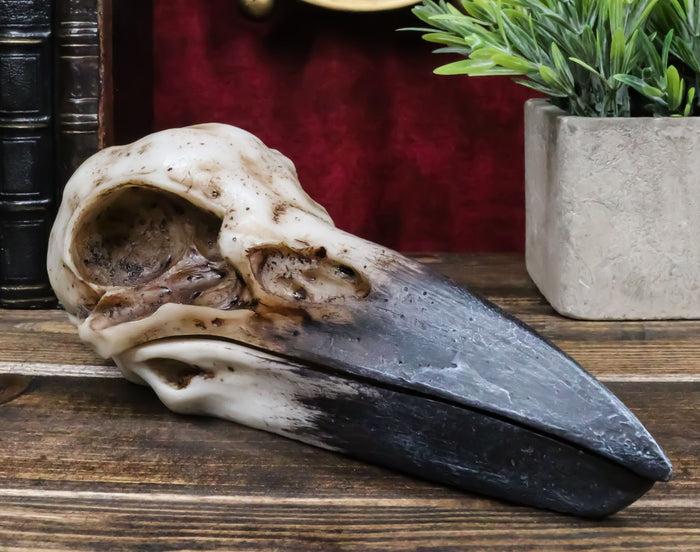 ebros gift Ebros Bad Omens Witchcraft Gothic Raven Crow Skull Jewelry Box Figurine