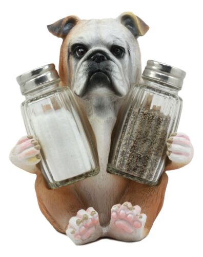 Ebros Gift Ebros Big Bully English Bulldog Decorative Salt And Pepper Shakers Holder Set
