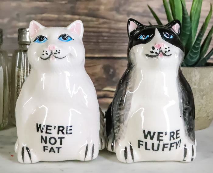 ebros gift Ebros Black And White Cute Fluffy Cats Salt & Pepper Shakers Magnetic Set 3.25"H