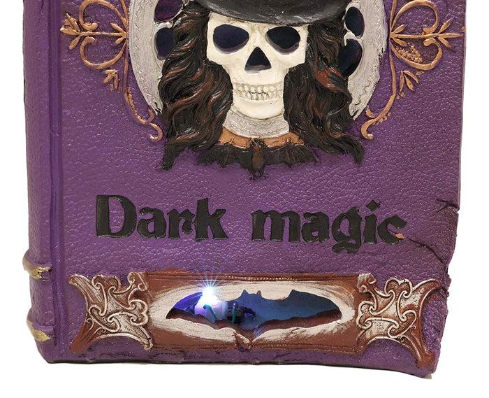 Ebros Gift Ebros Black Mystical Cat Perching On Purple Book Of Spells With LED Lights