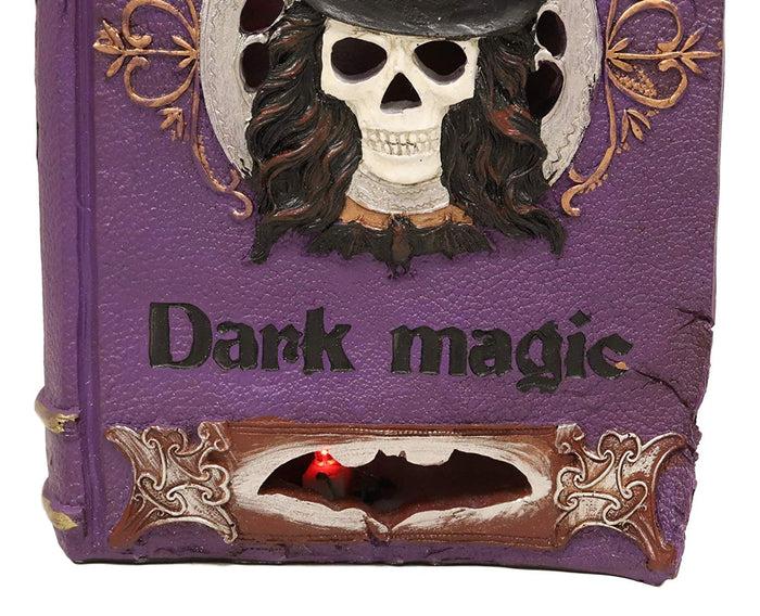 Ebros Gift Ebros Black Mystical Cat Perching On Purple Book Of Spells With LED Lights