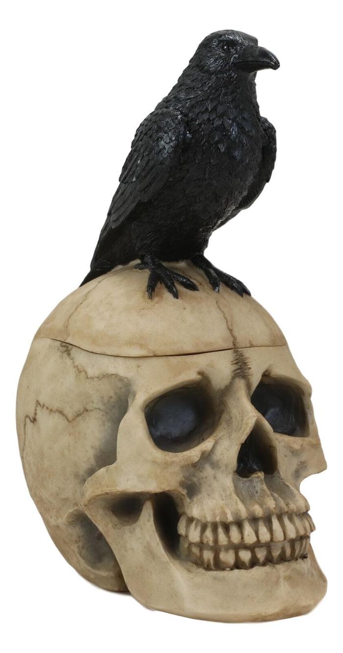 Ebros Gift Ebros Black Raven Perched On Ancient Human Skull Trinket Box Container Figurine