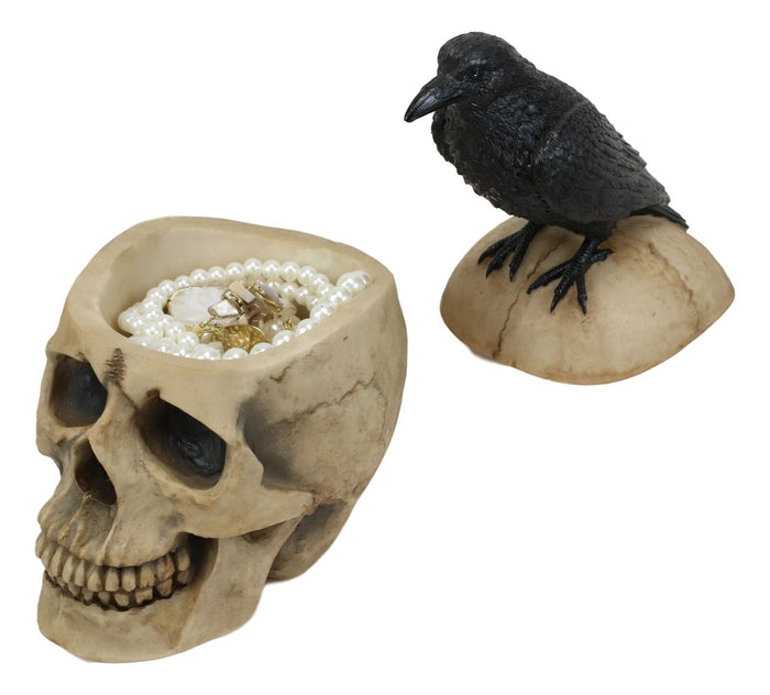 Ebros Gift Ebros Black Raven Perched On Ancient Human Skull Trinket Box Container Figurine
