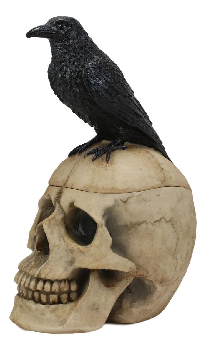 Ebros Gift Ebros Black Raven Perched On Ancient Human Skull Trinket Box Container Figurine