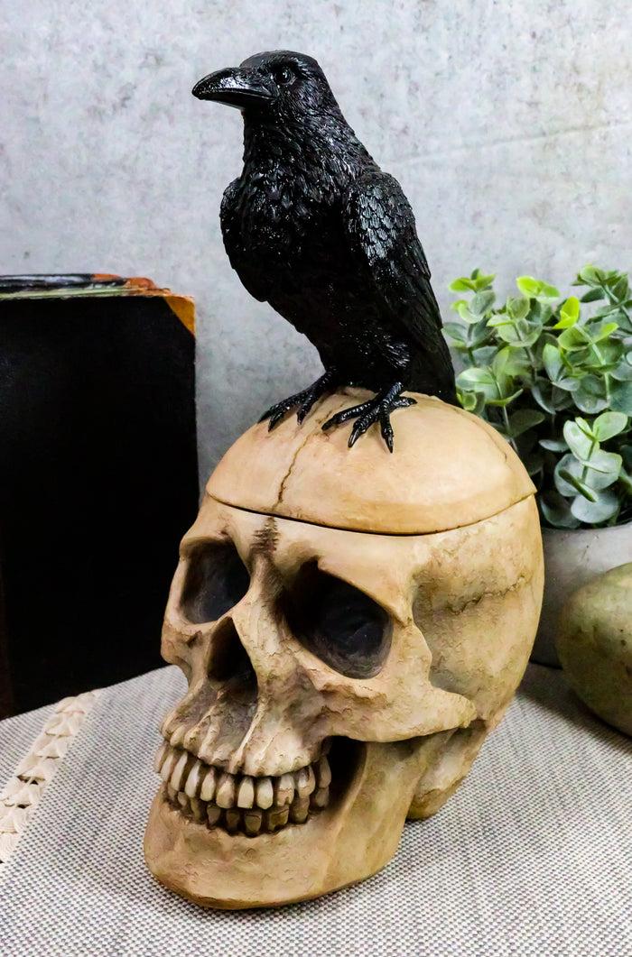 ebros gift Ebros Black Raven Perched on Ancient Human Skull Trinket Box Container Figurine