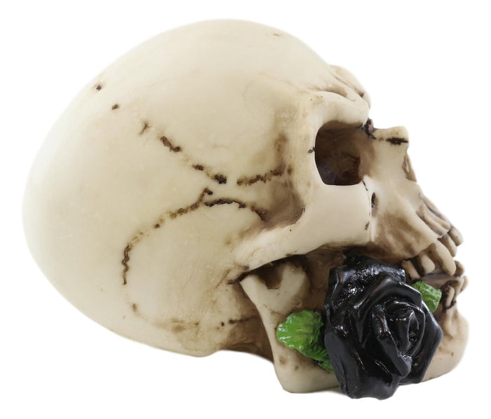 Ebros Gift Ebros Black Tango Vampire Skull Biting Pale Rose Stalk Figurine 5"L Ossuary