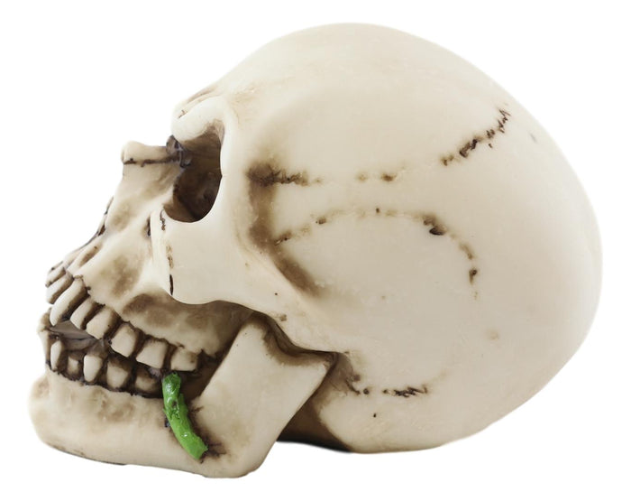 Ebros Gift Ebros Black Tango Vampire Skull Biting Pale Rose Stalk Figurine 5"L Ossuary