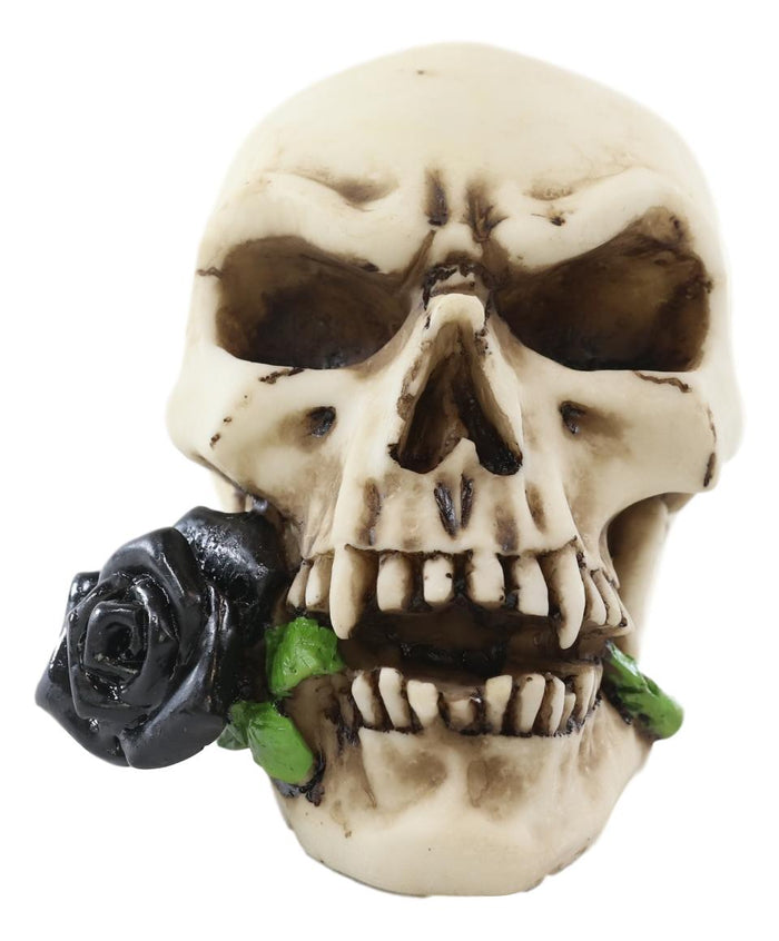 ebros gift Ebros Black Tango Vampire Skull Biting Pale Rose Stalk Figurine 5"L Ossuary