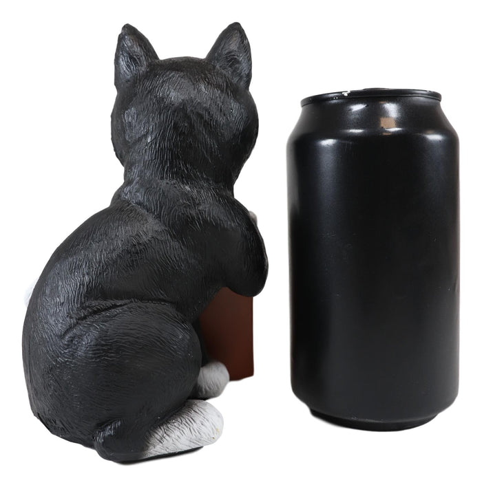 Ebros Gift Ebros Black White Cat W/Please Seat Yourself Sign Decorative Toilet Figurine