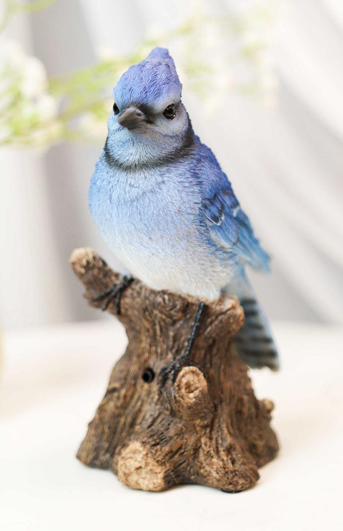 Ebros Gift Ebros Blue Jay Perching On Branch With Motion Activated Bird Sound Figurine