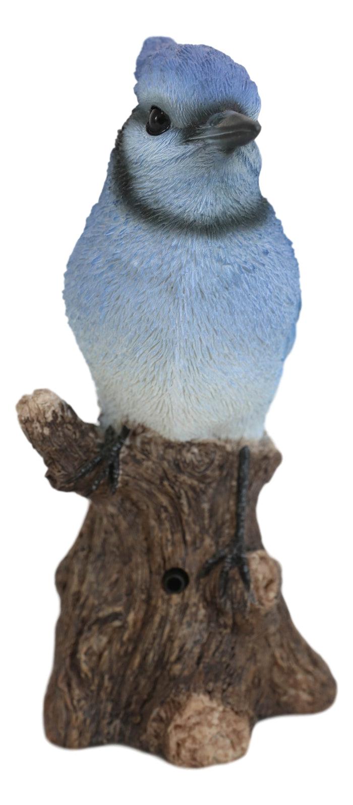Ebros Gift Ebros Blue Jay Perching On Branch With Motion Activated Bird Sound Figurine