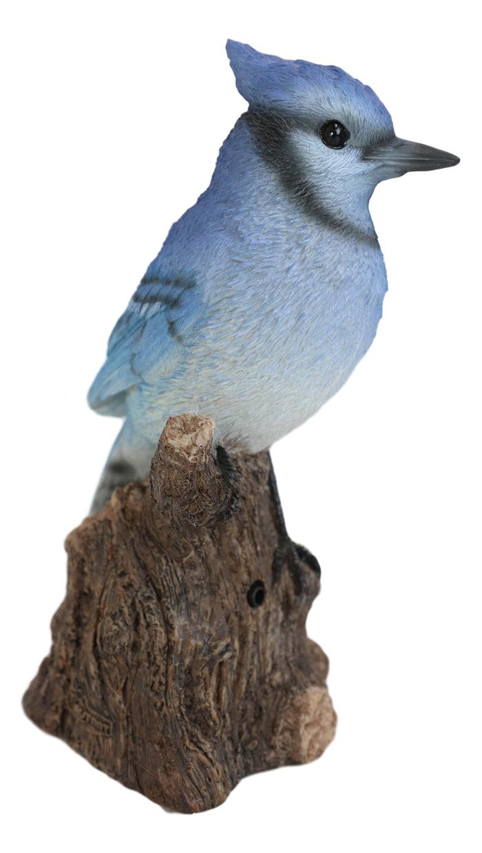Ebros Gift Ebros Blue Jay Perching On Branch With Motion Activated Bird Sound Figurine