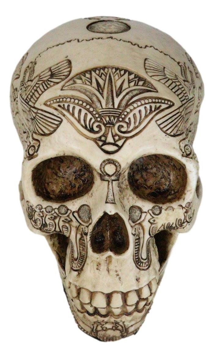 Ebros Gift Ebros Bone Ancient Egyptian Gods Paranormal Voodoo Scarab Dung Beetle Skull Statue 8.5" Long Figurine