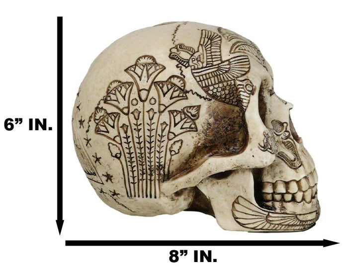 Ebros Gift Ebros Bone Ancient Egyptian Gods Paranormal Voodoo Scarab Dung Beetle Skull Statue 8.5" Long Figurine