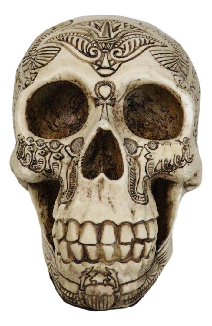 Ebros Gift Ebros Bone Ancient Egyptian Gods Paranormal Voodoo Scarab Dung Beetle Skull Statue 8.5" Long Figurine