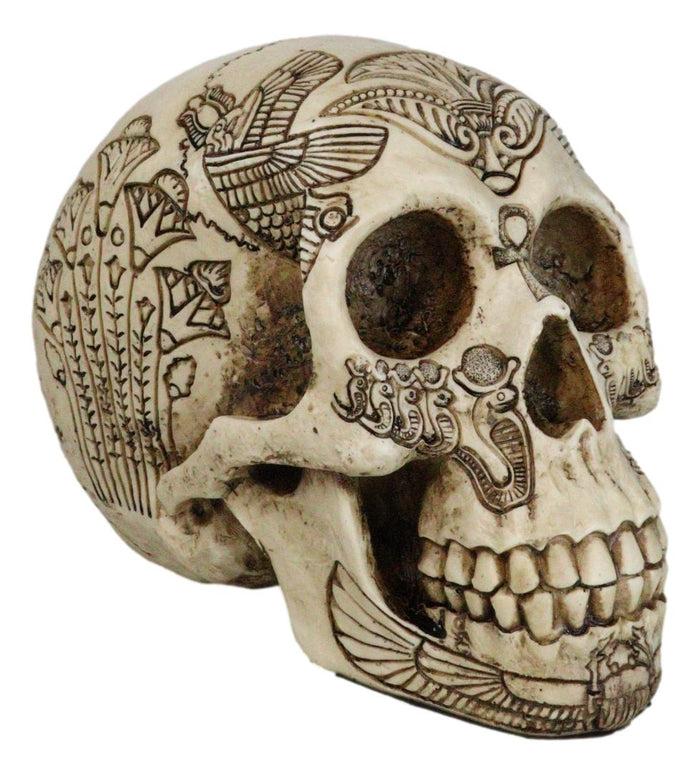 ebros gift Ebros Bone Ancient Egyptian Gods Paranormal Voodoo Scarab Dung Beetle Skull Statue 8.5" Long Figurine