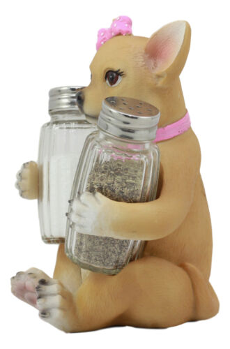 Ebros Gift Ebros Bonita Pretty In Pink Girl Chihuahua Dog Salt And Pepper Shakers Holder