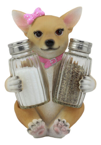 Ebros Gift Ebros Bonita Pretty In Pink Girl Chihuahua Dog Salt And Pepper Shakers Holder