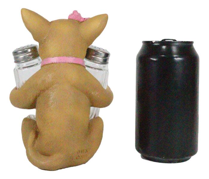 Ebros Gift Ebros Bonita Pretty In Pink Girl Chihuahua Dog Salt And Pepper Shakers Holder