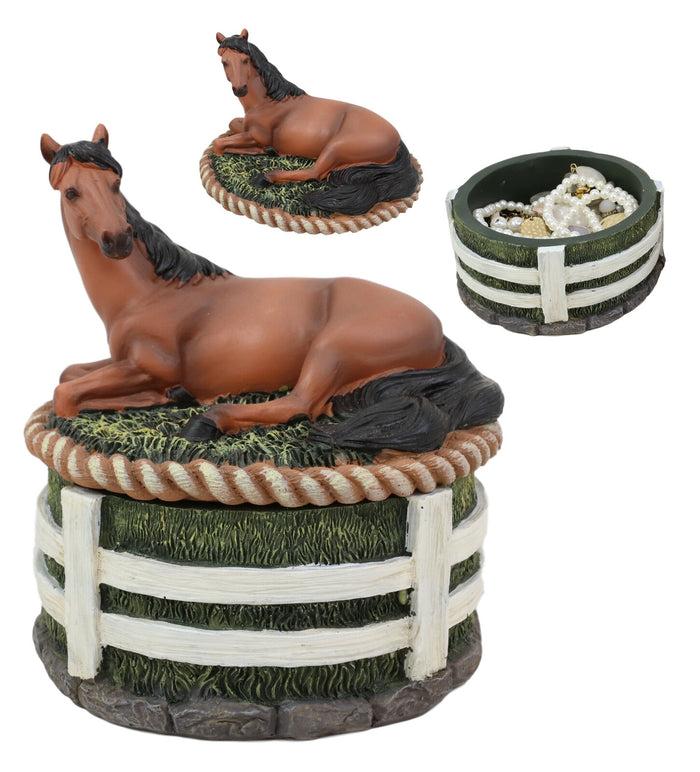 Ebros Gift Ebros Brown Stallion Horse At Rest Round Jewelry Trinket Decorative Box 5.25"H