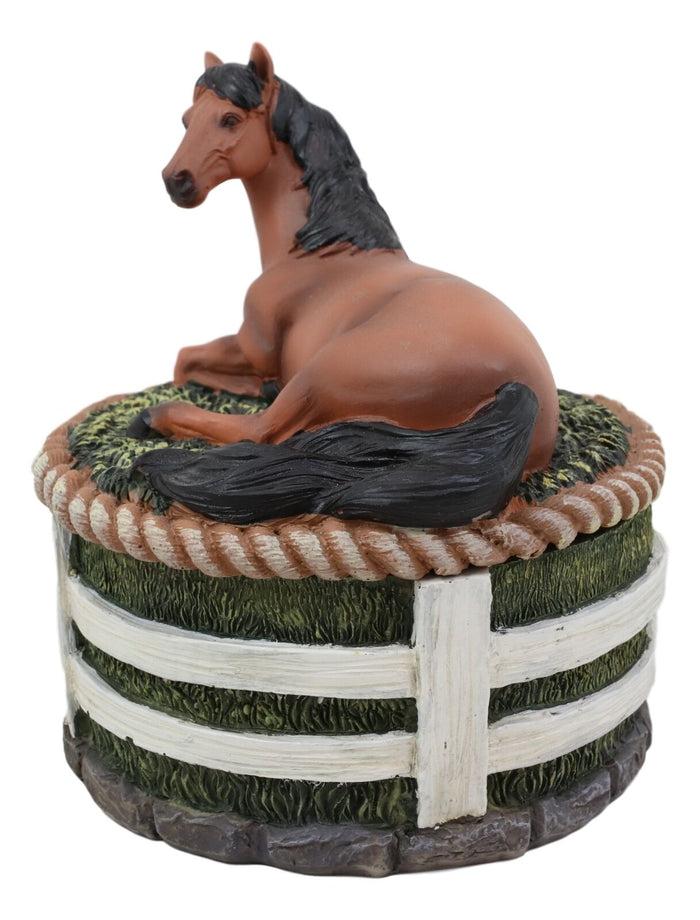 Ebros Gift Ebros Brown Stallion Horse At Rest Round Jewelry Trinket Decorative Box 5.25"H