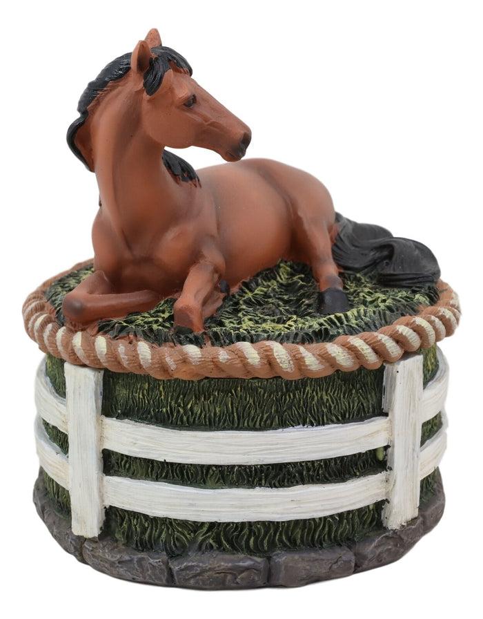Ebros Gift Ebros Brown Stallion Horse At Rest Round Jewelry Trinket Decorative Box 5.25"H