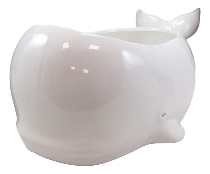 Ebros Gift Ebros Ceramic White Nautical Coastal Marine Cachalot Sperm Whale Planter Pot Sculpture For Succulents Or Herbs Or As Sea Life Decorative Organizer Holder Decor Statue (Large 19" Long)