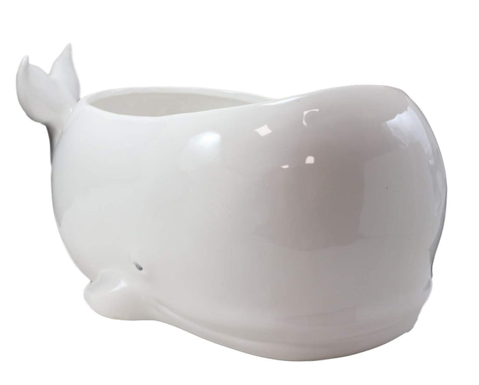 Ebros Gift Ebros Ceramic White Nautical Coastal Marine Cachalot Sperm Whale Planter Pot Sculpture For Succulents Or Herbs Or As Sea Life Decorative Organizer Holder Decor Statue (Large 19" Long)
