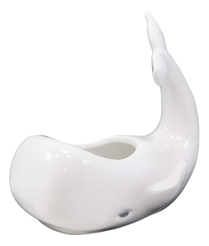 Ebros Gift Ebros Ceramic White Nautical Coastal Marine Cachalot Sperm Whale Planter Pot Sculpture For Succulents Or Herbs Or As Sea Life Decorative Organizer Holder Decor Statue (Small 8" Long)